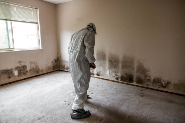 Allentown, PA Mold Remediation Company